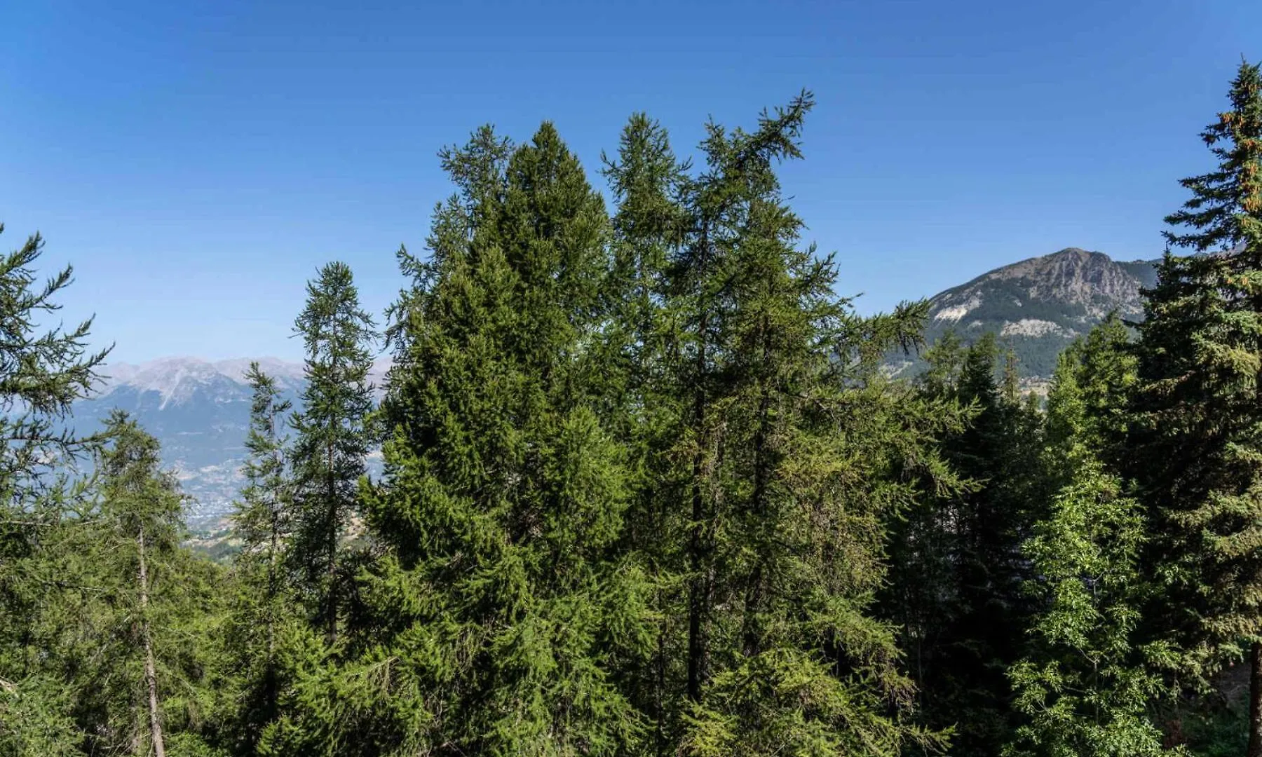 Residence Le Belvedere - Studio Coin Montagne Au Coeur Des Orres 1650 Mae-6644 ليه أورس شقة